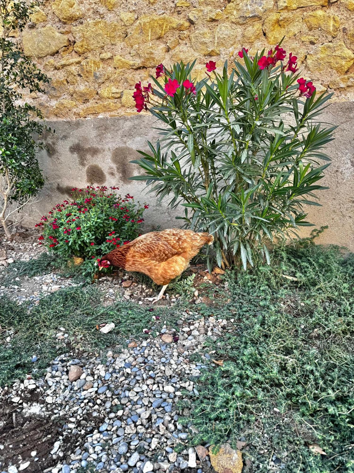 Charmant T2 Atypique Proche Du Centre-Ville ميراماس المظهر الخارجي الصورة